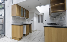 Criggion kitchen extension leads